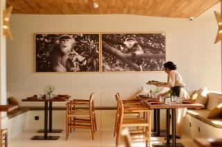 Hotel Chavana - 2