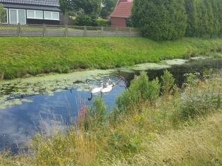 Ferienwohnung Daddeldu - 7