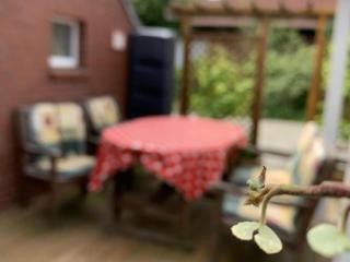 Ferienwohnung Daddeldu - Südbrookmerland - 1