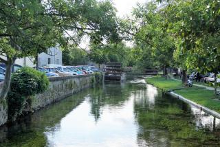 Colombe - LʼIsle-sur-la-Sorgue - 2