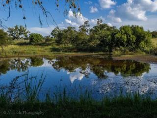KwaThabisile Bush Retreat - Cullinan - 3