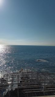 Monastir - Catania - 6