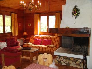 Chalet des Glaciers - Chamonix-Mont-Blanc - 1