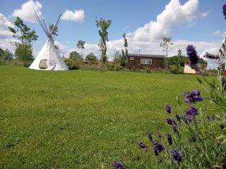 Heerlijk relaxen, knusse accommodatie vlakbij zwemplas - 8