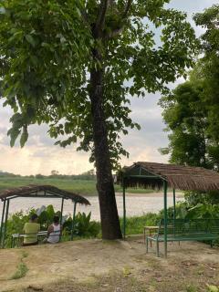 Hotel Tree Land Lodge and Cottage - Sauraha - 7