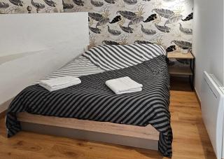 Bel appartement et son jardin - 4