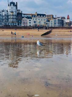 Sea Spray Victorian Apartment - St Leonards - 1