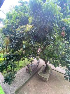 Hotel Tree Land Lodge and Cottage - Sauraha - 2