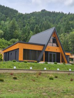 Cabana A-frame Apuseni - - 8