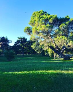 DOMAINE LES VINYES - Pollestres - 6