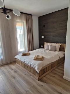 Cabana A-frame Apuseni - - 1