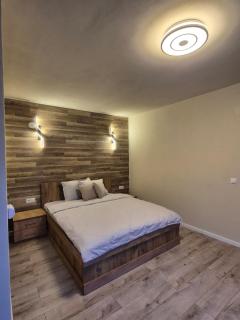 Cabana A-frame Apuseni - - 5