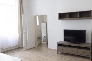 Fully equipped 2 room apartment near the center - Brno - 3