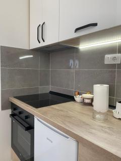 Apartman Milena Temerin - 4