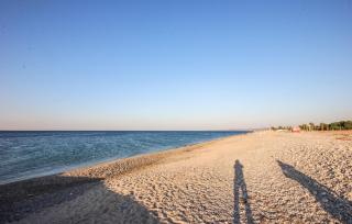 Pet Friendly Apartment - 5