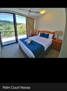 Palm court Noosa national park - Noosa Heads - 7