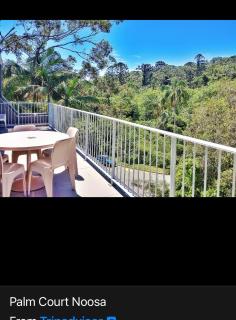 Palm court Noosa national park - Noosa Heads - 6