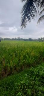 Ajik house - 3