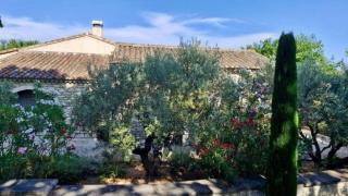 L'appart Thé - Charme apaisant au coeur des Alpilles - 8