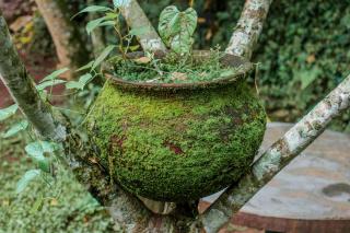 Avocado Kilimanjaro Homes - Marangu - 4