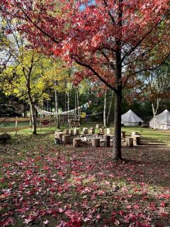 Incredible Nature Camp Ideal for Groups or Big Family Retreats in Germany - - 4