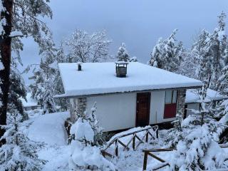 Chalet La Stella a Corte - Borca di Cadore - 4