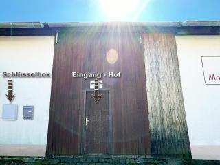 Katzenhaus - 9