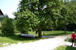 Idyllic Holiday Accommodation on a Beautiful Farm in Kozje, Eastern Slovenia - Kozje - 4
