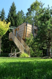 Enchanting Tree House Overlooking Savinja River near Ljubljana, Slovenia - Luče - 0