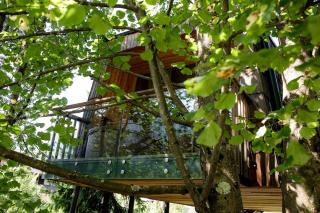 Enchanting Tree House Overlooking Savinja River near Ljubljana, Slovenia - Luče - 4