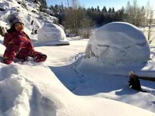 Luxury Dome with Ski-In/Ski-Out Access in Pori for a Holiday in Finland - 9