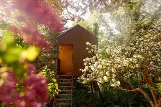 Escape to the Czech Republic in this Wonderful Tree House in Nature - Prague - 1