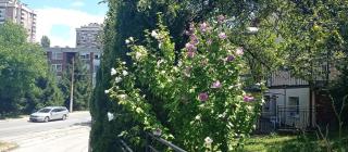 Apartman BASIC - Sarajevo - 4