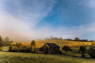 Luxury Safari Tents for Family Getaway Set Within the Grounds of a Vineyard in Slovenia - Maribor - 3