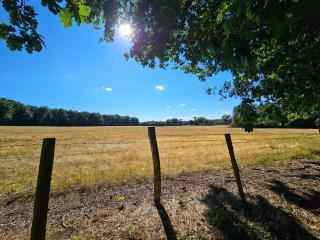 Le calme - Braize - 6