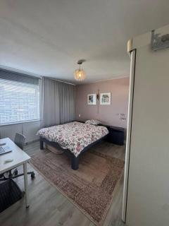 Ladies only! neat cozy room, great loc in Schiedam - Schiedam - 7