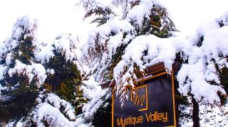 Mystique Valley by Trekocity - 2