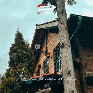 Whispering Pines Villa - Peje - 7