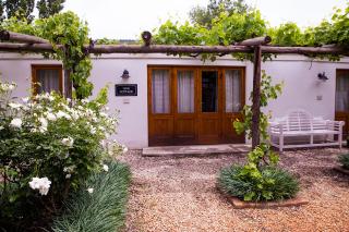 Vygeboom Studio - Nieu-Bethesda - 5
