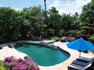 Villa Santai - Fabulous beachfront villa, pool & jacuzzi - - 6