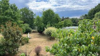 Domaine du Grand Etang - Nouan-le-Fuzelier - 5