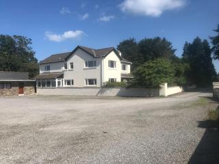 Blackmoor Farmhouse - Stepaside - 0