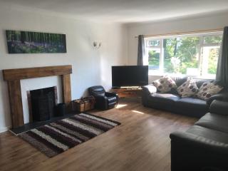 Blackmoor Farmhouse - Stepaside - 6
