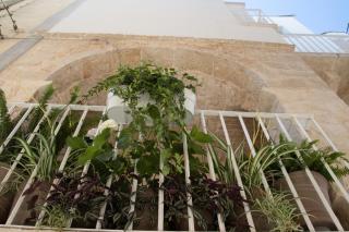 La Pupa coi baffi - Edificio Storico in Centro - Conversano - 6