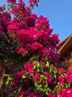 Guest House Luiza - 7