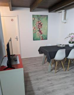 Handwerker Wohnung im Landhaus - Ramhusen - 0