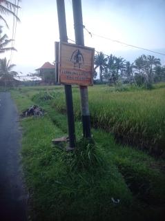Luna bamboo house - 2