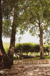 Vikendica Antonio - 8