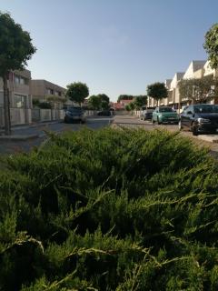 Sunny Ofir - Fão - 5