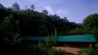 Sparrow Woods Eco Resort - Nainital - 1